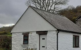 Y Llew Bach, The Tiny House
